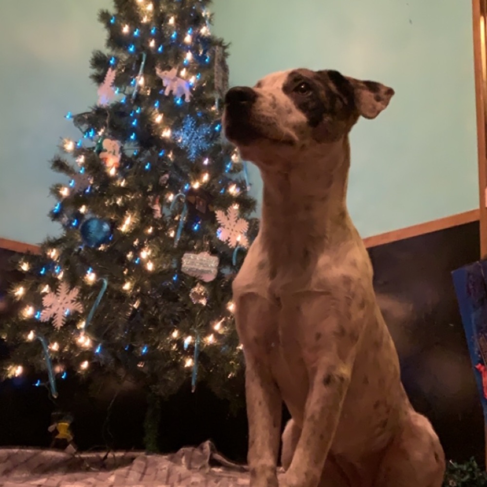 Meet your Posher, Krystal